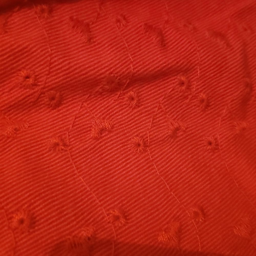Red Vest - Picture 3 of 4